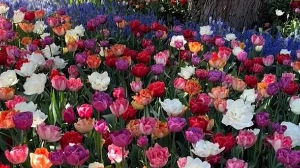 اهدافتان را تعیین کنید و تا زمانی که به آنها نرسیده‌اید، متوقف نشوید