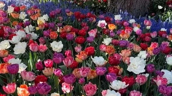 اهدافتان را تعیین کنید و تا زمانی که به آنها نرسیده‌اید، متوقف نشوید