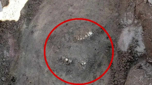 کشف یک گنج نفیس در دل کوه ! + عکس های حیرت انگیز