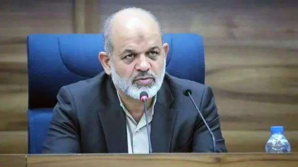 شهرداری‌ ها باید سگ‌ های خیابانی را جمع‌ آوری کنند