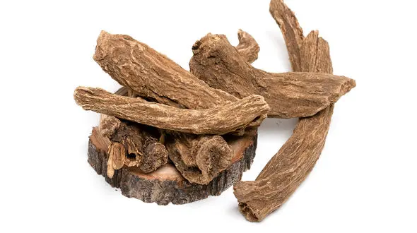 5 گیاه برطرف کننده بی اشتهایی+ طرز مصرف