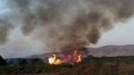 یک هکتار از تالاب نوروزلوی میاندوآب در آتش سوخت