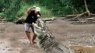 فیلم هولناک حمله تمساح غول پیکیر به مرد مهربان / معجزه در زنده ماندن