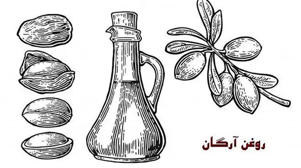 با روغن آرگان پوست و موی سالمی خواهید داشت