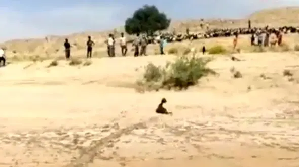 زلزله بوشهر گله گوسفند را زیر کوه زنده به گور کرد+ فیلم