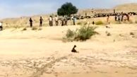 زلزله بوشهر گله گوسفند را زیر کوه زنده به گور کرد+ فیلم