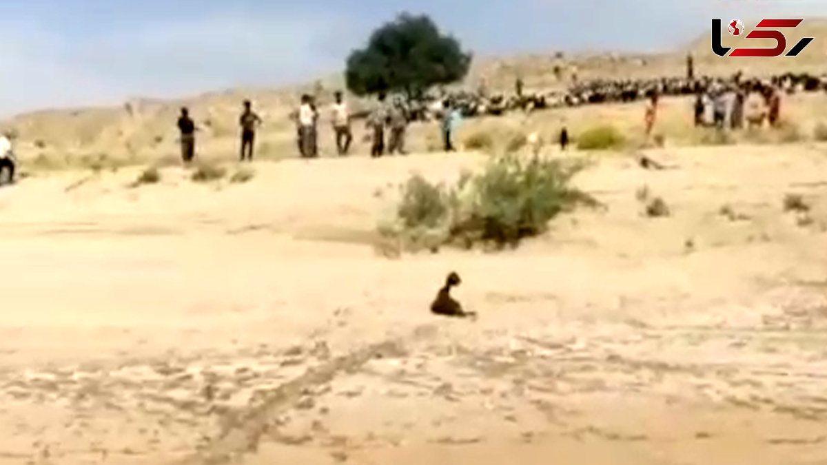 زلزله بوشهر گله گوسفند را زیر کوه زنده به گور کرد+ فیلم