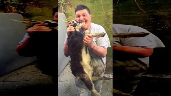 این مرد حیوان آزار بزغاله ها را گاز می گیرد + فیلم عجیب