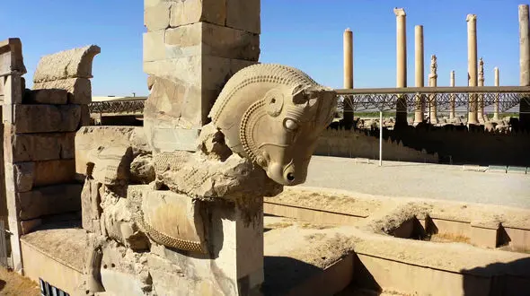 هشدار؛ تخت جمشید را قارچ گرفت! 