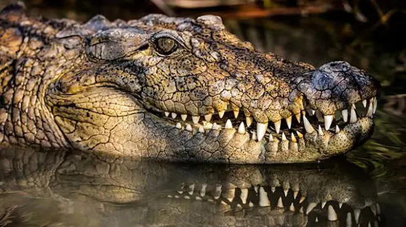 گاندوها در کمین کودکان و زنان و مردان سیستان و بلوچستان