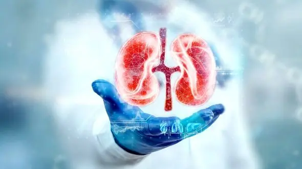 نشانه های مهم بیماری‌ های کلیوی که نباید نادیده بگیرید