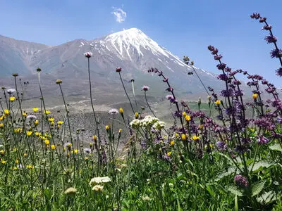 13 تیر ماه روز ملی دماوند / چند نکته جالب درباره دماوند