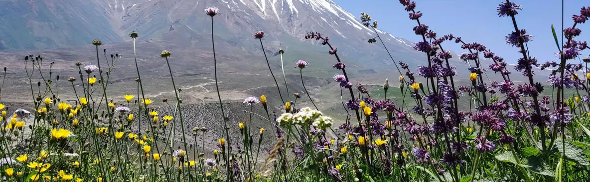 13 تیر ماه روز ملی دماوند / چند نکته جالب درباره دماوند