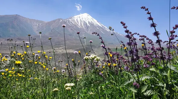 13 تیر ماه روز ملی دماوند / چند نکته جالب درباره دماوند
