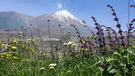 13 تیر ماه روز ملی دماوند / چند نکته جالب درباره دماوند