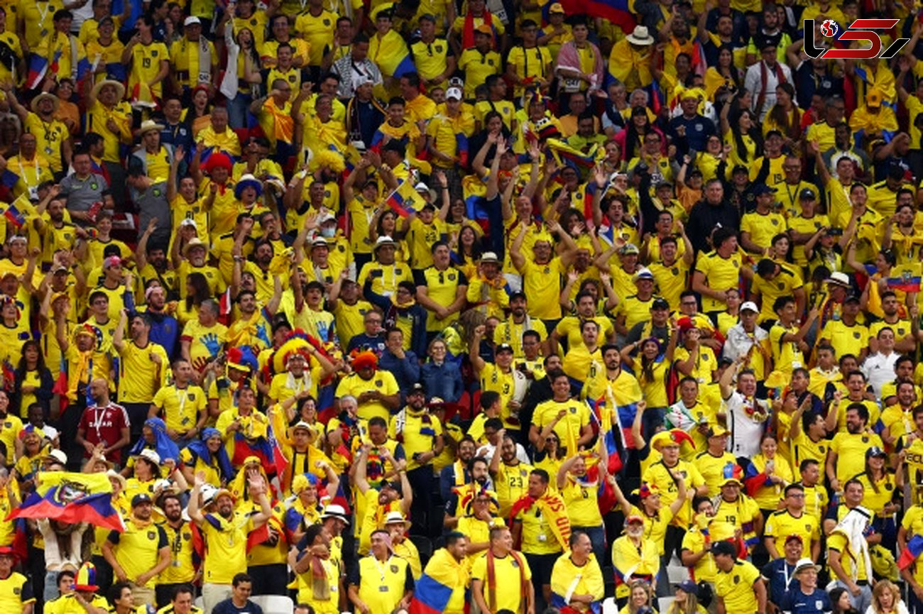 جام جهانی 2022 قطر/ فریادهای هواداران اکوادور در اعتراض به ممنوعیت نوشیدن الکل در قطر +ویدیو