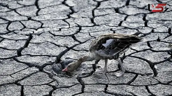Historic Drought; Forecasts Predict a Rainless Autumn