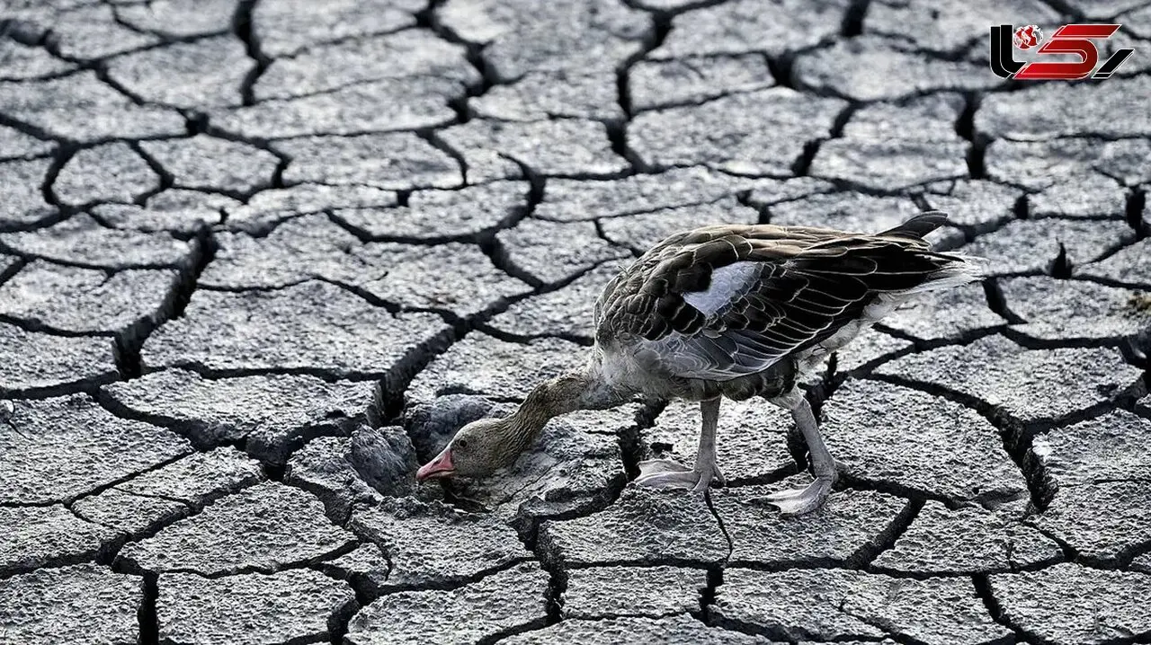 Historic Drought; Forecasts Predict a Rainless Autumn