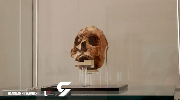 بزرگترین گنج ایران کجاست ؟! / داریوش بزرگ بدون سر ! + فیلم و عکس اختصاصی رکنا