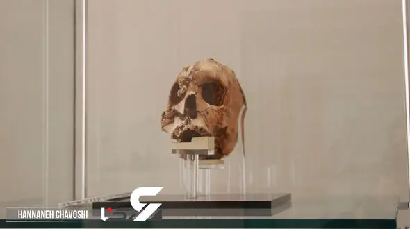 بزرگترین گنج ایران کجاست ؟! / داریوش بزرگ بدون سر ! + فیلم و عکس اختصاصی رکنا