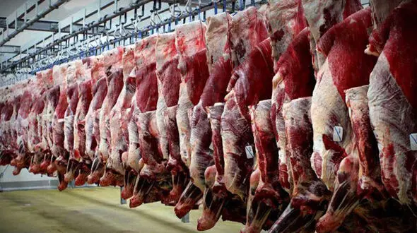 قیمت هر کیلو شقه گوسفندی ۷۰ هزار تومان