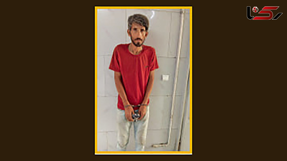 پرسه بی هدف دوچرخه سوار راز چند سرقت را فاش کرد