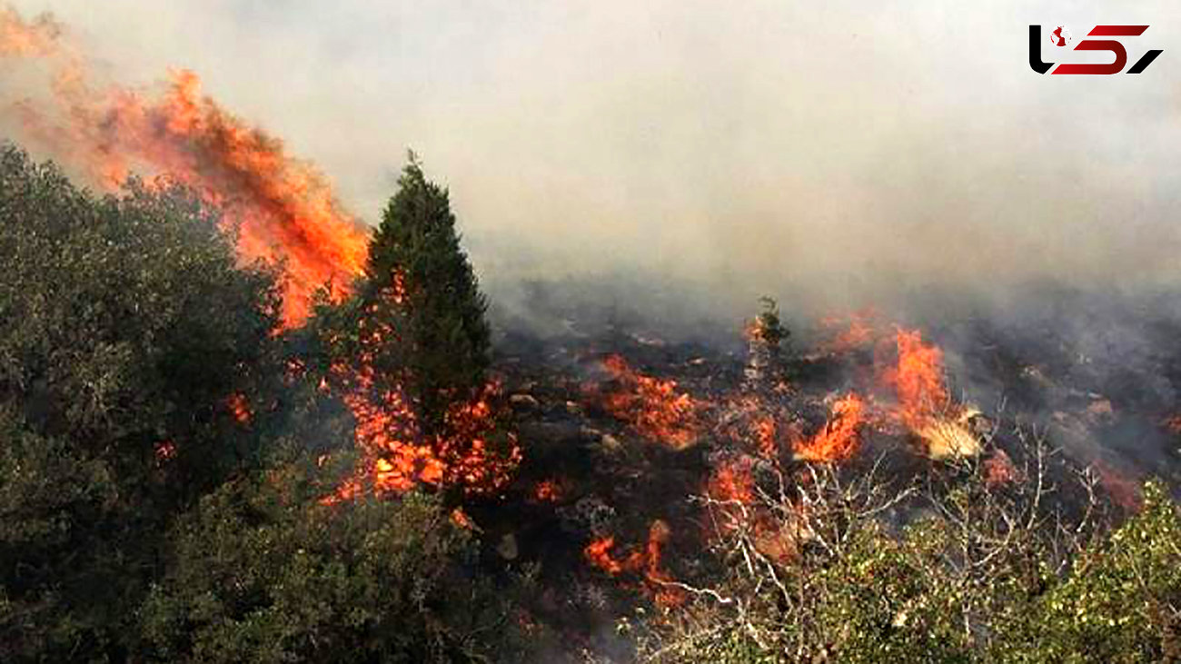 آتش سوزی مناطق جنگلی در 5 شهرستان گیلان/ امروز رخ داد
