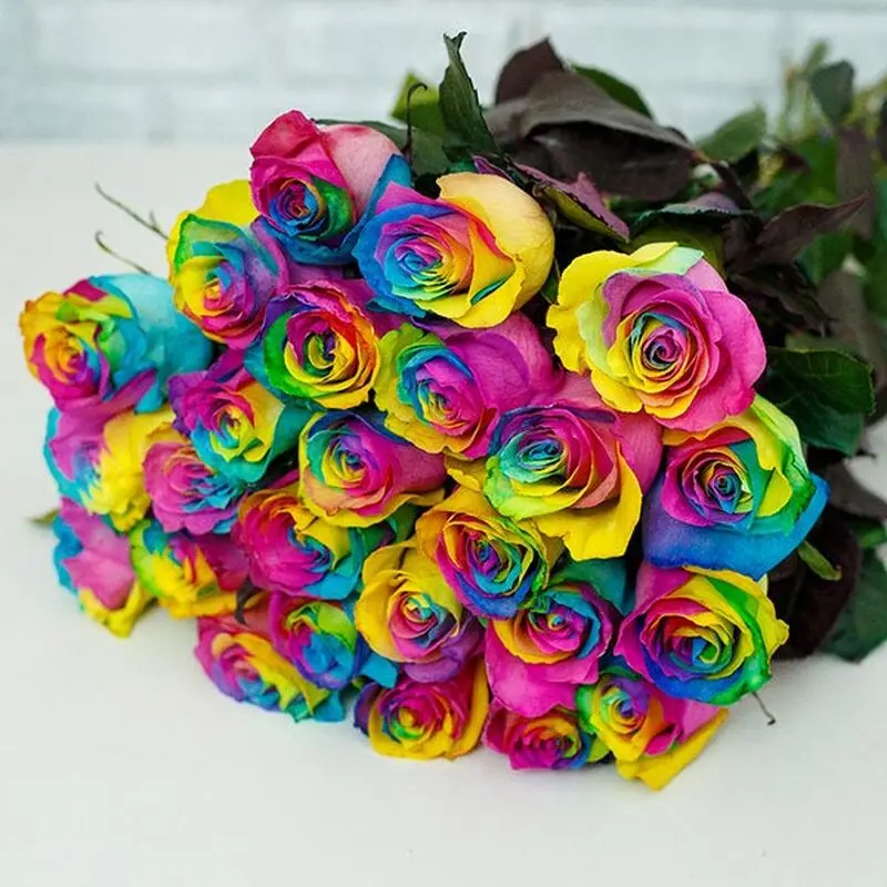 گل های رنگی