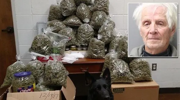 28 کیلو ماری جوانا برای هدیه کریسمس زوج پیر + عکس