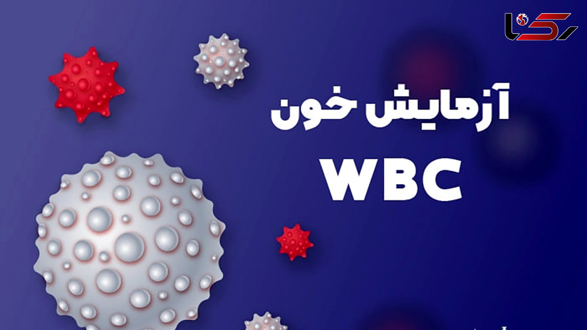  wbc در آزمایش خون چیست؟ / زمان تجویز آزمایش WBC 