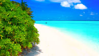 آهنگ بی کلام آرامش بخش از جزیره مالدیو + فیلم 