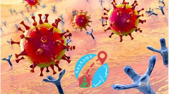 تست کرونا در منزل