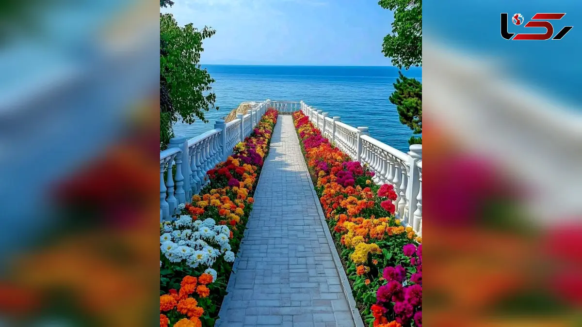 طالع بینی امروز 16 آبان + فیلم