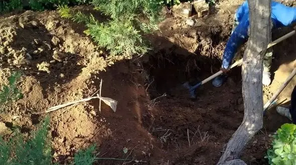 رازگشایی از قتل پنهان بازرگان خارجی در تهران بعد  4 سال / همسرش می دانست کجا دفنش کرده اند