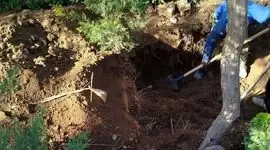 رازگشایی از قتل پنهان بازرگان خارجی در تهران بعد  4 سال / همسرش می دانست کجا دفنش کرده اند