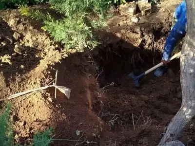 رازگشایی از قتل پنهان بازرگان خارجی در تهران بعد  4 سال / همسرش می دانست کجا دفنش کرده اند