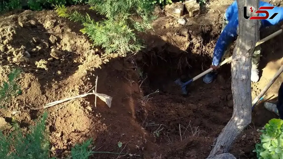 رازگشایی از قتل پنهان بازرگان خارجی در تهران بعد  4 سال / همسرش می دانست کجا دفنش کرده اند