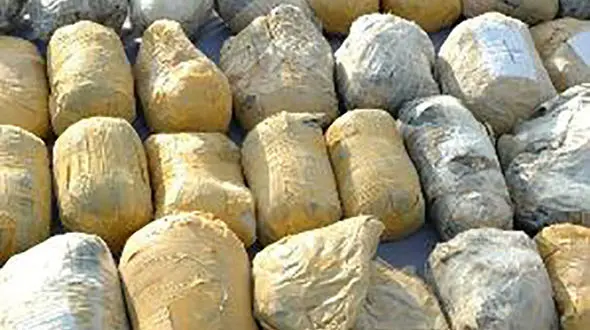 ناکامی قاچاقچی در انتقال 135 کیلوگرم تریاک در داراب