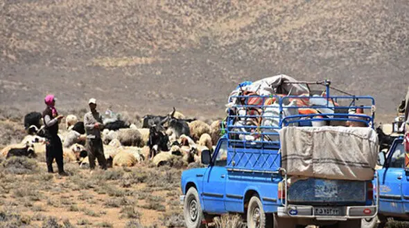 همه دار و ندار خانواده ای در کهگیلویه خاکستر شد