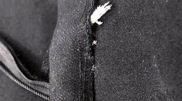 پیداشدن موش در لباس زنانه برند معروف پوشاک + عکس 