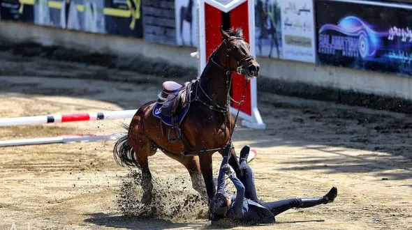 اسب لگدخورد و سوارکار را ناک اوت کرد ! + فیلمی برای درس عبرت حیوان آزارها !