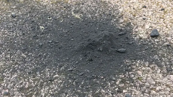 شهاب سنگ ۳۰۰ گرمی در مسیر ورودی یک خانه پیدا شد