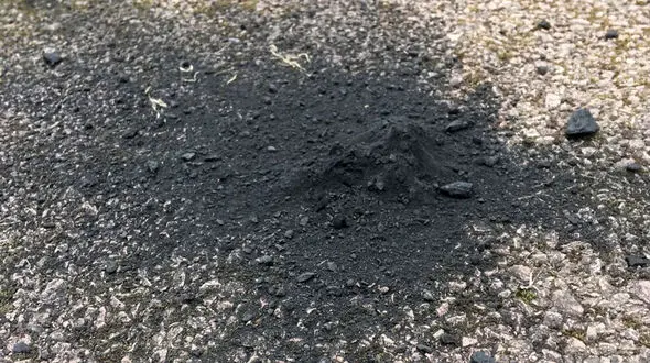 شهاب سنگ ۳۰۰ گرمی در مسیر ورودی یک خانه پیدا شد