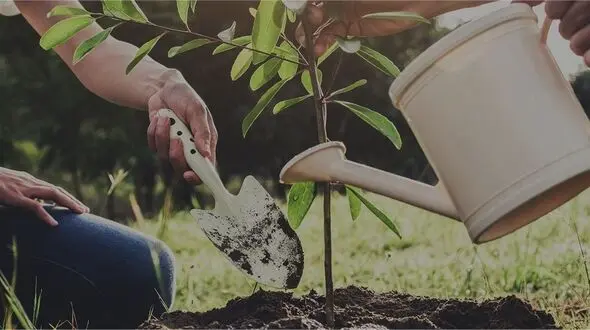 افزایش فردگرایی بیمارگونه/ فاصله اجتماعی ارزش پول ملی را کاهش می دهد