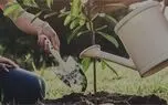 افزایش فردگرایی بیمارگونه/ فاصله اجتماعی ارزش پول ملی را کاهش می دهد
