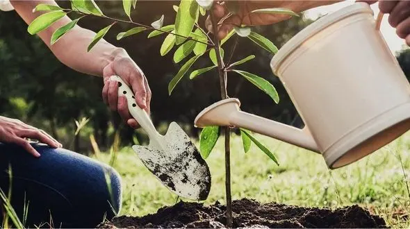 افزایش فردگرایی بیمارگونه/ فاصله اجتماعی ارزش پول ملی را کاهش می دهد