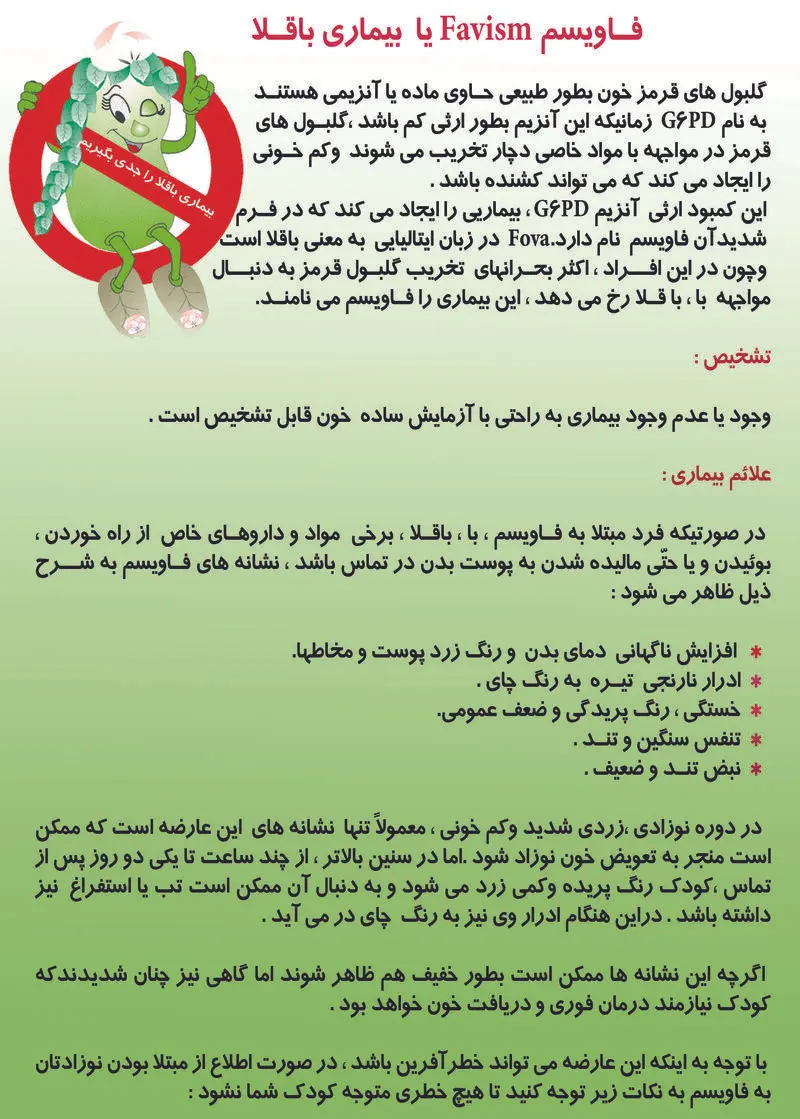 فاویسم