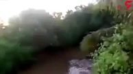 لحظه وحشتناک حمله تمساح غول پیکر به یک مرد در رودخانه در مقابل مردم +فیلم