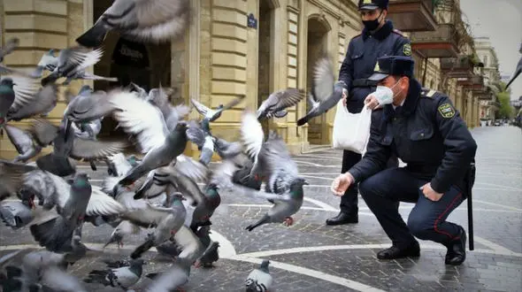 عکس های دیدنی از کبوتربازی پلیس‌ آذربایجان