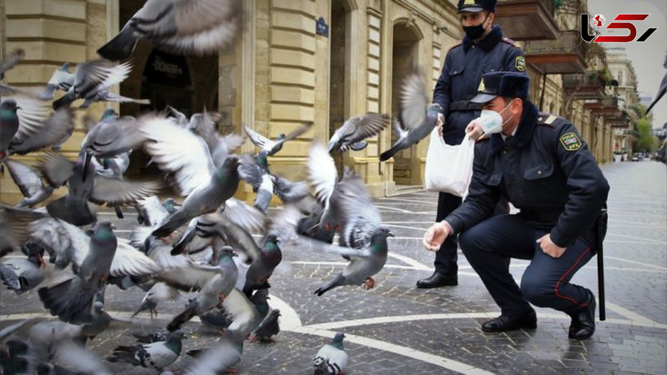 عکس های دیدنی از کبوتربازی پلیس‌ آذربایجان